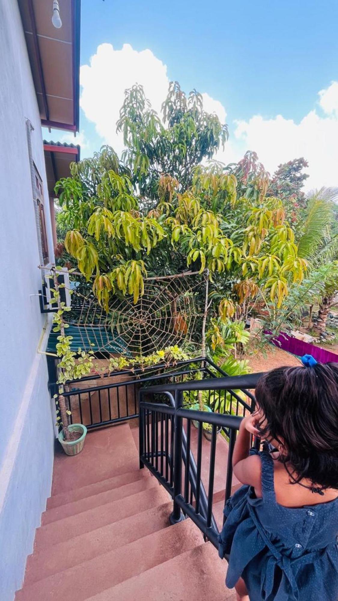 Dew Ashi Homestay Sigirîya Extérieur photo