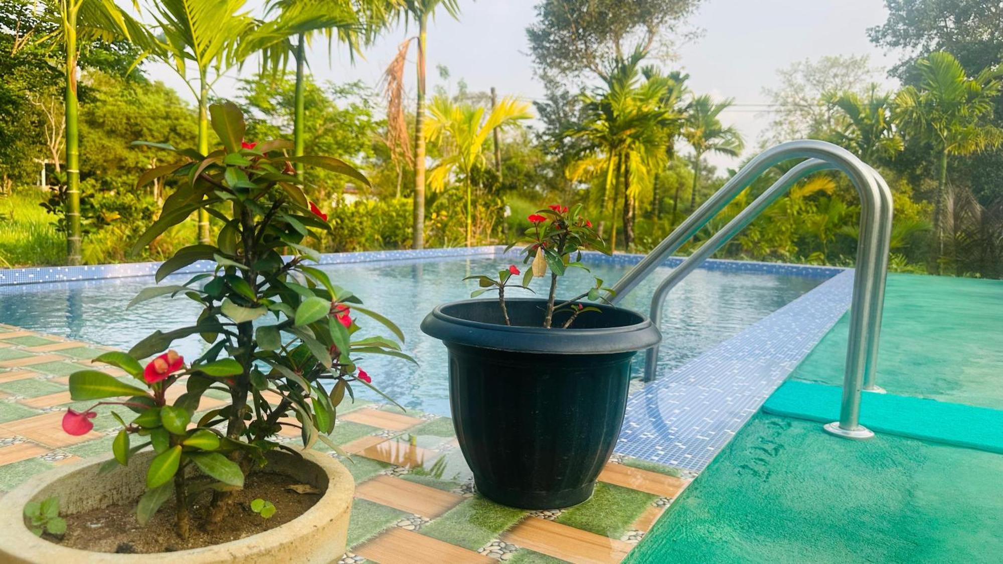 Dew Ashi Homestay Sigirîya Extérieur photo
